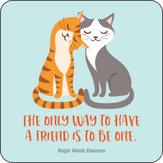 Kindness Lunch Box Notes for Kids! (Set of 60 Cards) - Olivia Frank & Co.