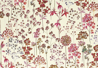 Wildflower Meadow Note Cards - Olivia Frank & Co.